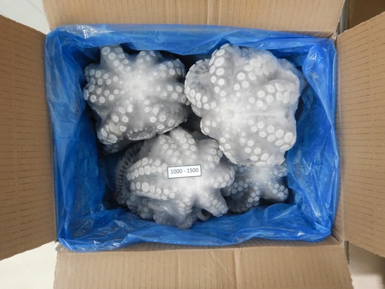 IQF flowered octopus 1000-1500g