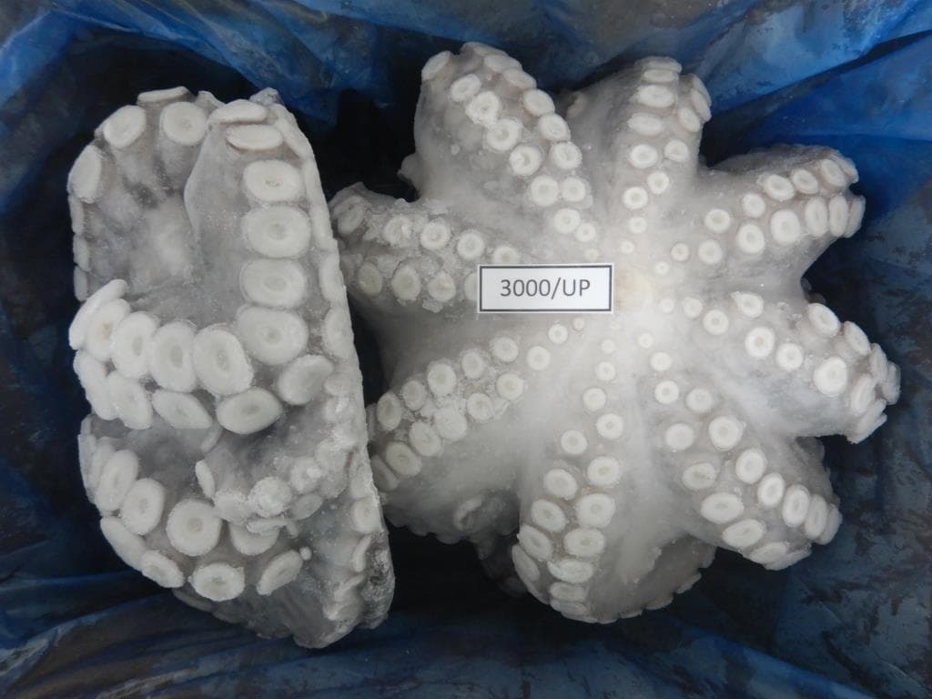 IQF flowered octopus 3000g/up