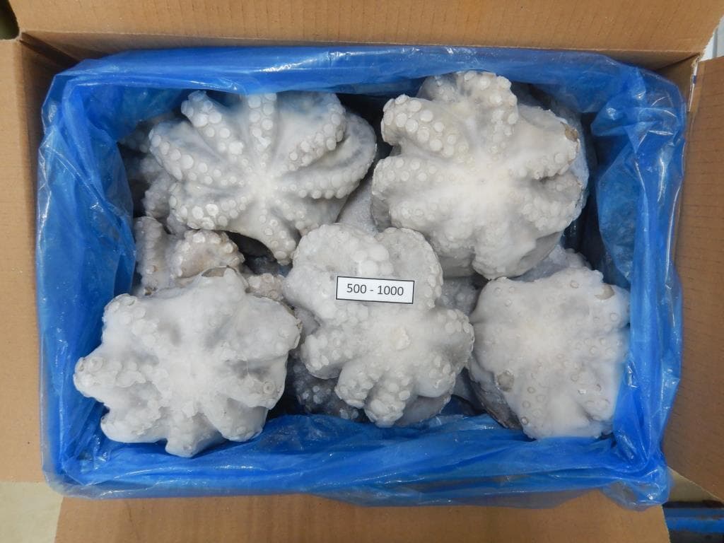 IQF flowered octopus 500-1000g