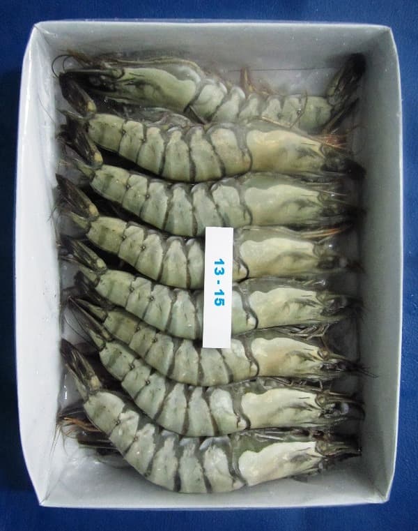 Tiger HOSO shrimp 13-15 count