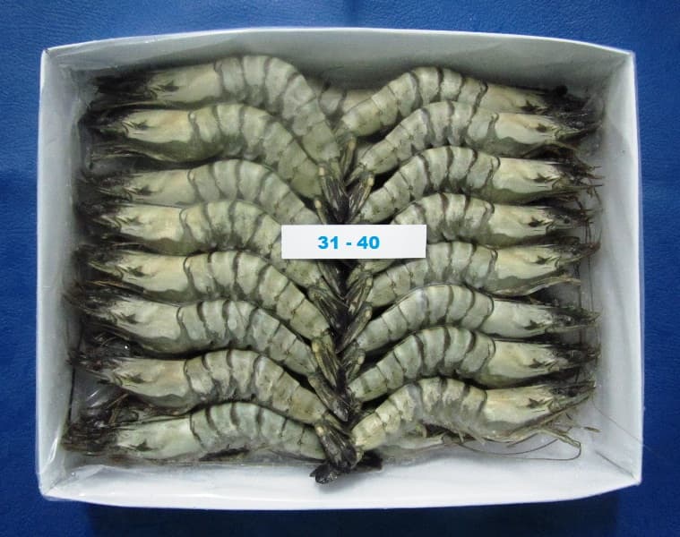 Tiger HOSO shrimp 31-40 count