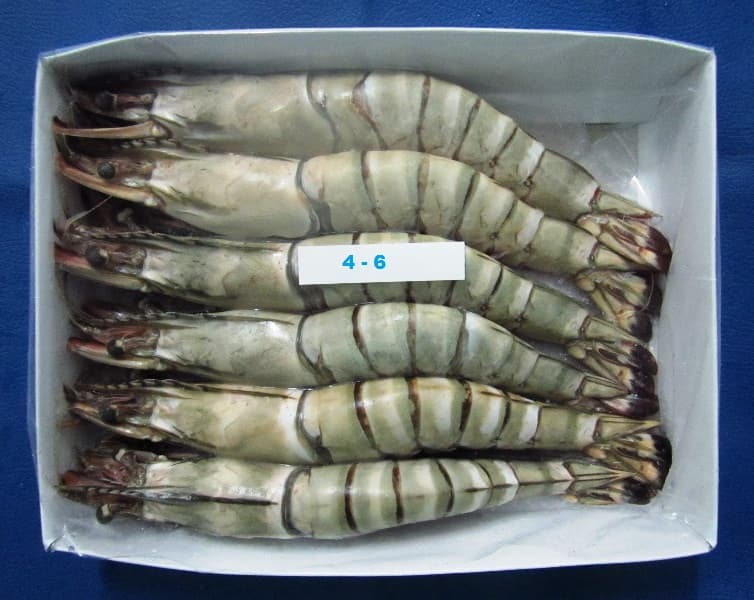 Tiger HOSO shrimp 4-6 count