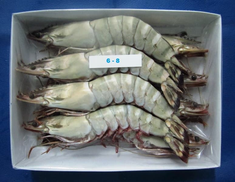 Tiger HOSO shrimp 6-8 count