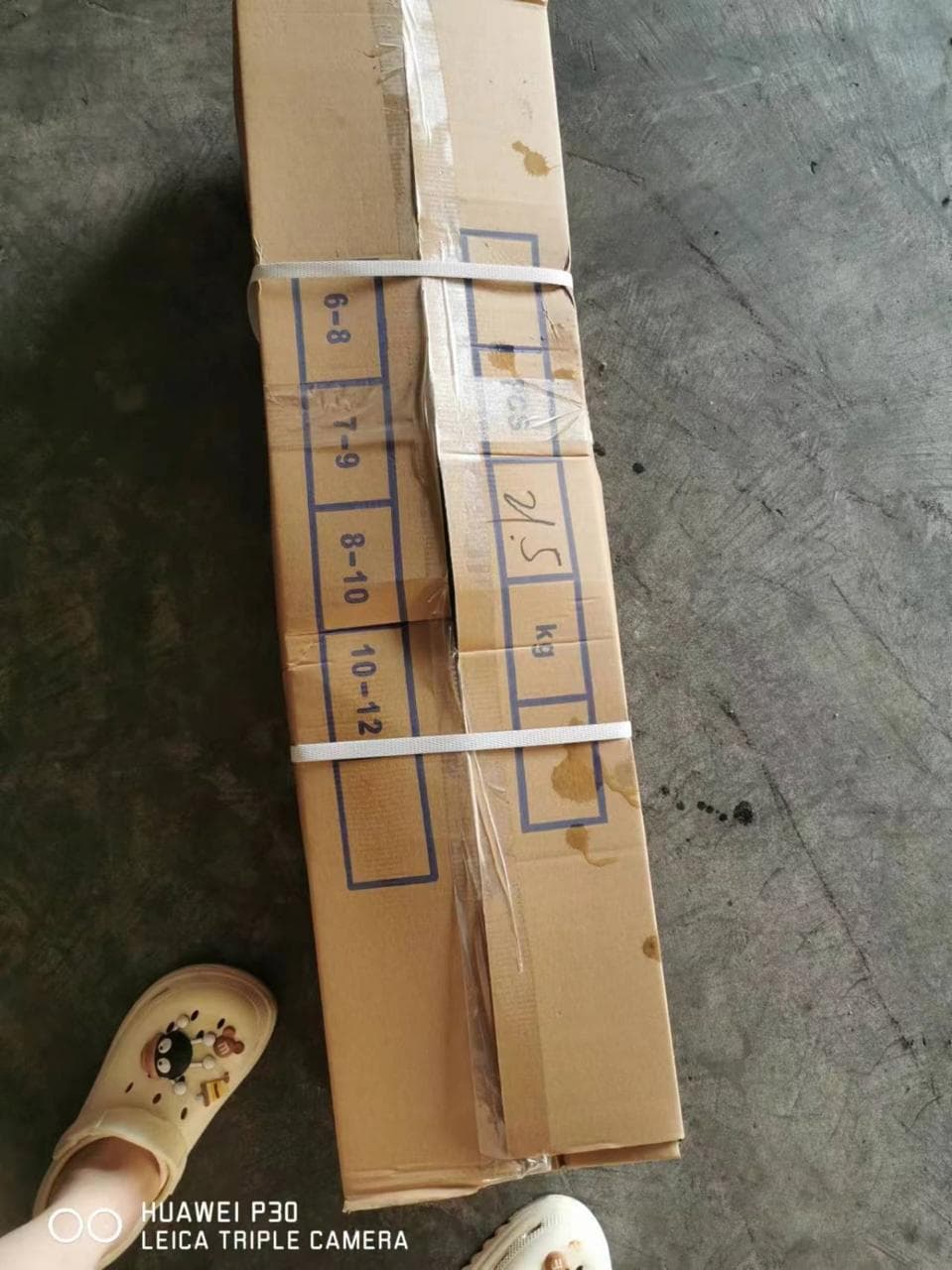 Frozen yellowtail random-weight shipping carton
