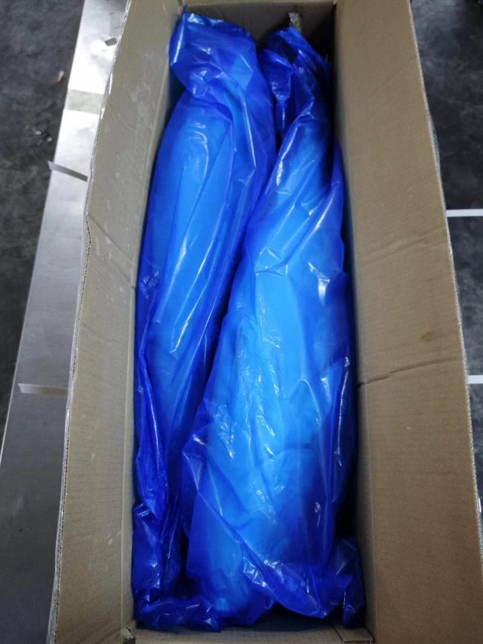 Two frozen yellowtail fish packed in a carton
